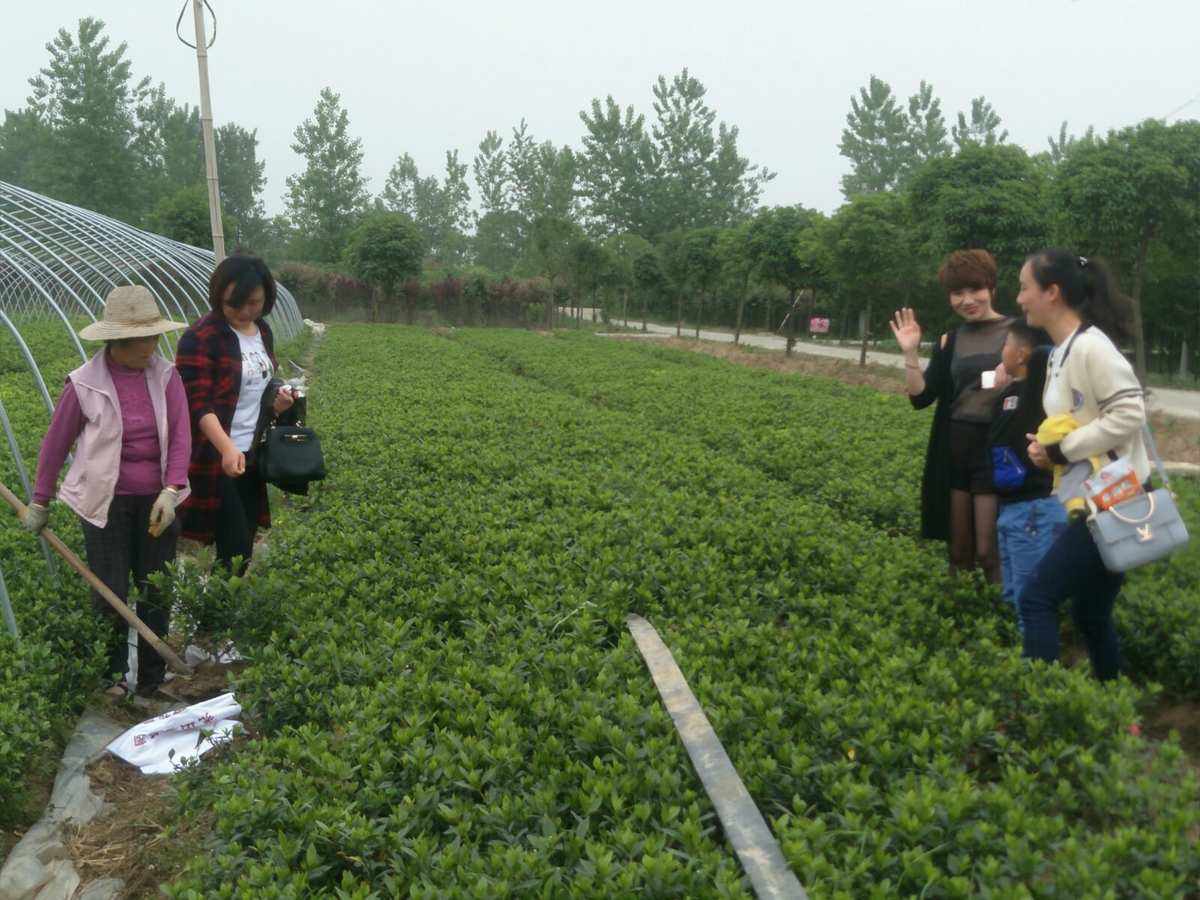 点点息苹果版点点代发苹果版