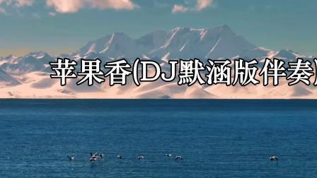 苹果dj剪辑版苹果dj舞曲车载热舞视频-第2张图片-太平洋在线下载