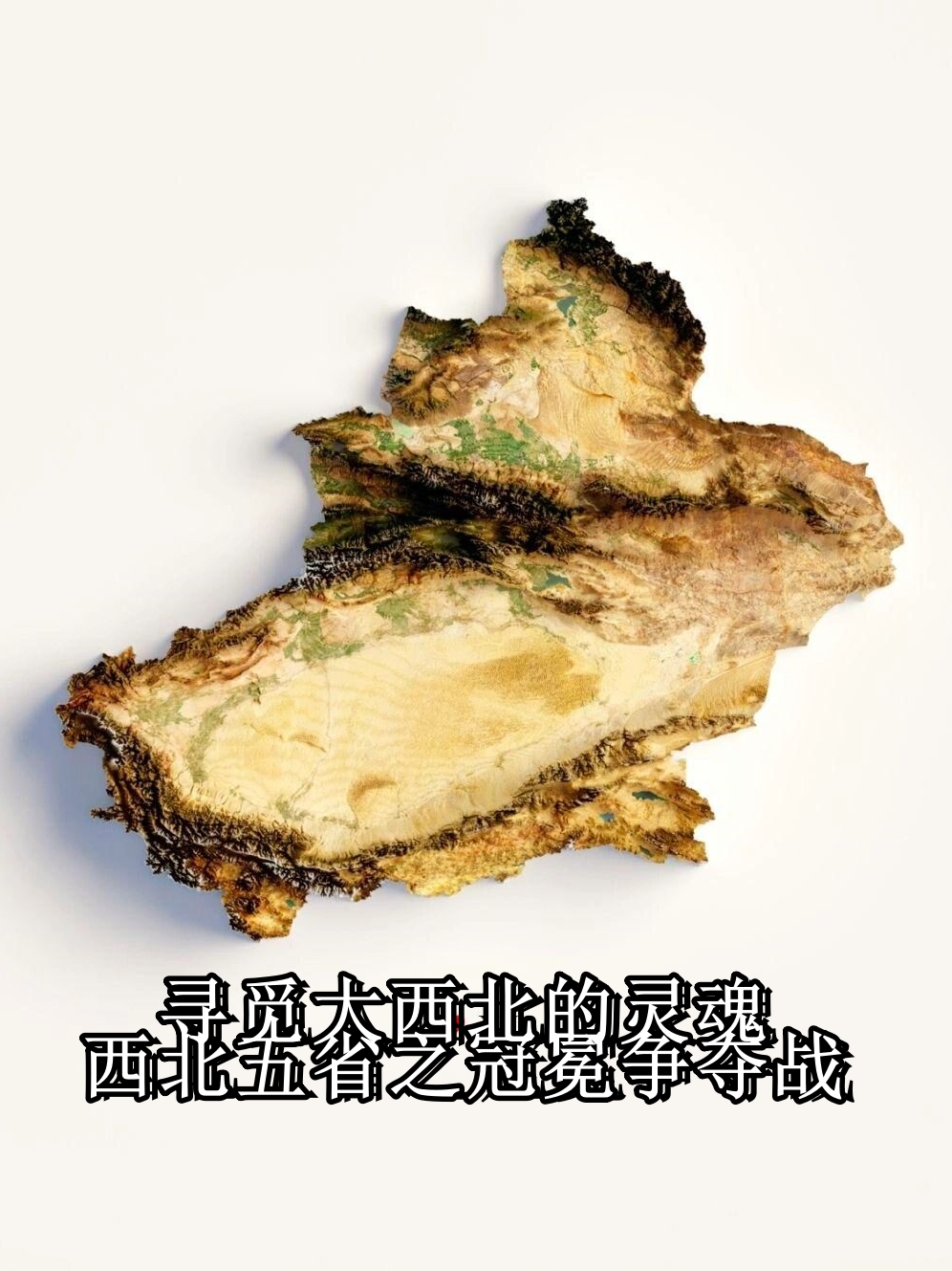 土地争夺战手机版土地争夺战手机中文版